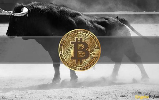 Here'S What Could Start The Bitcoin Bull Rally, According To Td Ameritrade