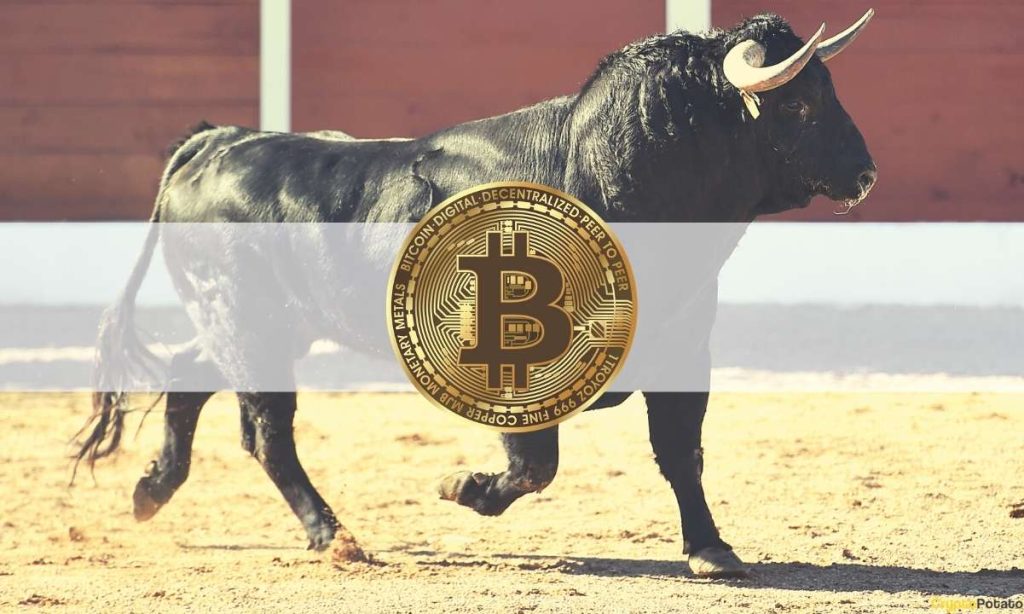 Bitcoin (Btc) Close To Bullish Breakout As Below: Glassnode Co-Founder