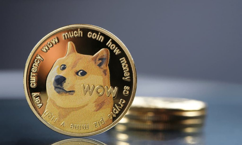 Dogecoin Pumps After Elon Musk Secures Crypto Wallet License For X