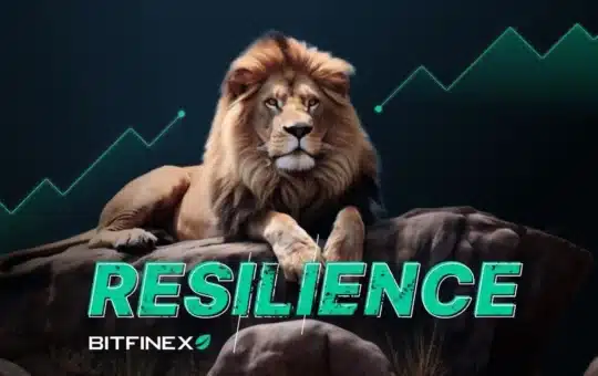 Bitfinex’s Market Prowess: A Game-Changer In The World Of Crypto Volatility