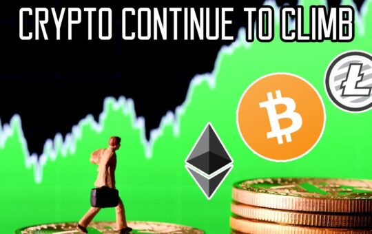 Altcoins Pick Up Steam As Bitcoin Holds 7000 The