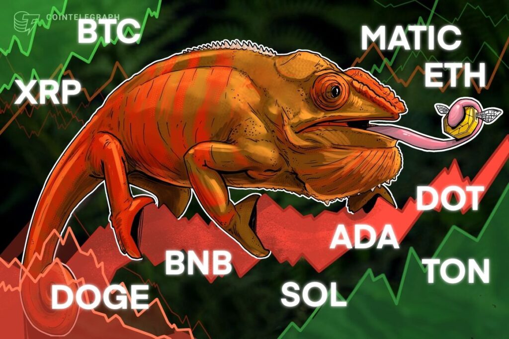 Btc, Eth, Bnb, Xrp, Sol, Ada, Doge, Ton, Dot, Matic