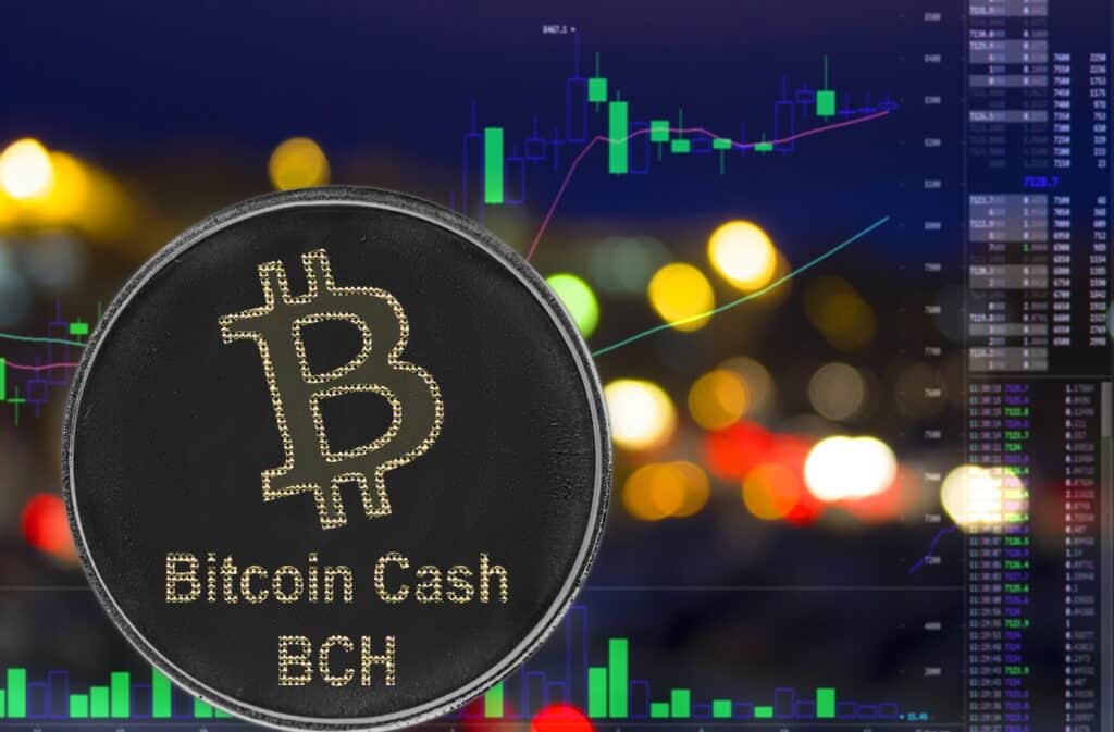 Bitcoin Sv (Bsv), Bitcoin Cash (Bch) Emerges As Btc Etf Hopes Rise.