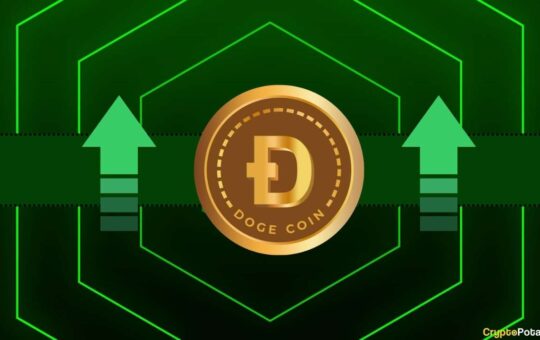 Dogecoin Price May Increase On Approval Of Bitcoin Etf (Op-Ed).