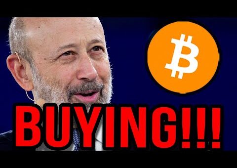 I Am Buying More Bitcoin Right Now Goldman Sachs Ceo