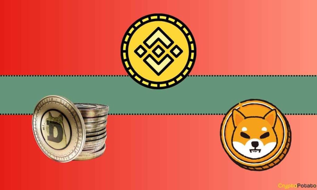 Important Binance update regarding Shiba Inu (SHIB) and Dogecoin (DOGE).