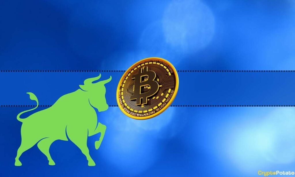 Is This Bitcoin Metric 5-Year Low, But Is It Bullish?