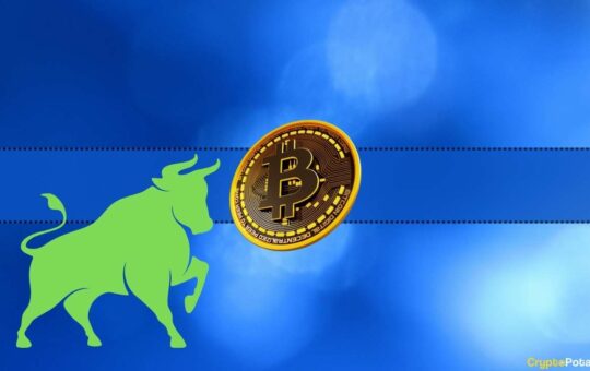 Is This Bitcoin Metric 5-Year Low, But Is It Bullish?