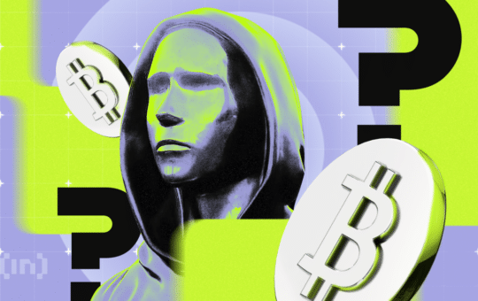 Why Does Lyn Alden Back Satoshi Nakamoto’S Identity Secrecy?