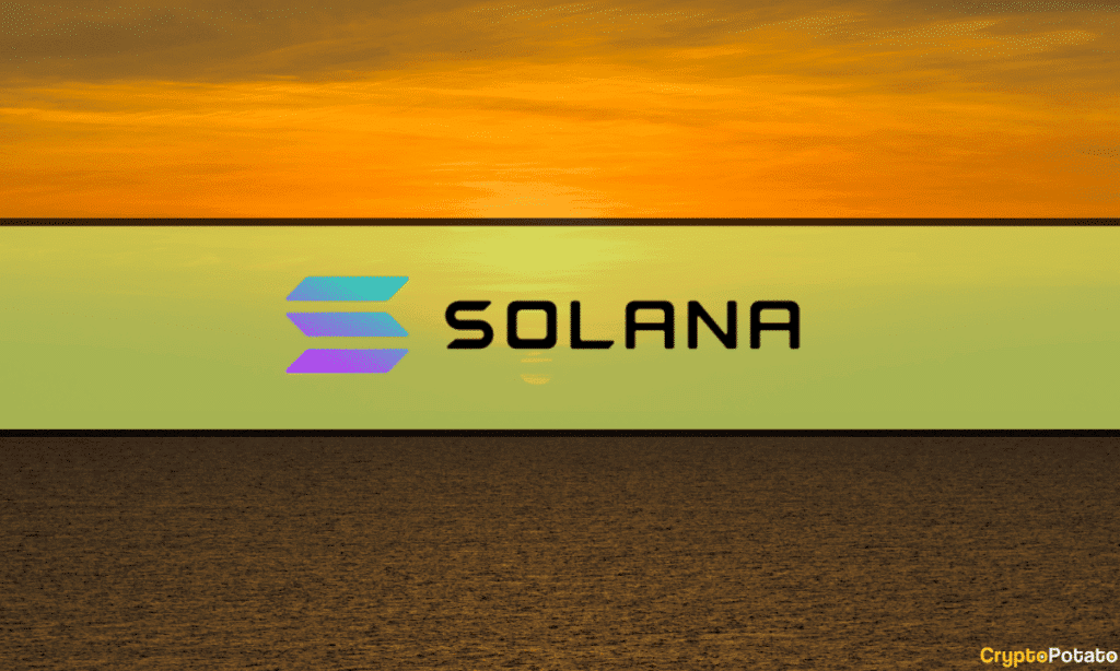 Solana-Based Products Lead With 74% Aum Increase In October: Ccdata