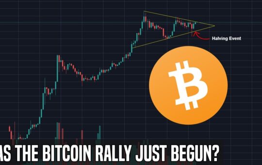 The Bitcoin Halving Rally Crypto Markets Are Heating Up