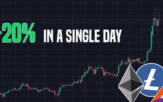 Altcoin Market Rallies 20 In One Day Heres What