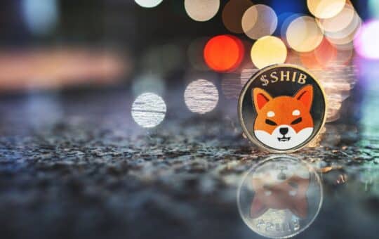 As The Memeinator Token Presale Grew, Shib'S Burn Rate Increased, With Pepe'S Market Cap Approaching $500M.