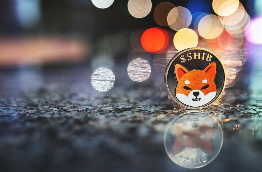 As The Memeinator Token Presale Grew, Shib'S Burn Rate Increased, With Pepe'S Market Cap Approaching $500M.