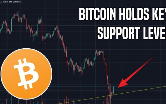 Bitcoin Holds Critical Support And Altcoins Hold Strong