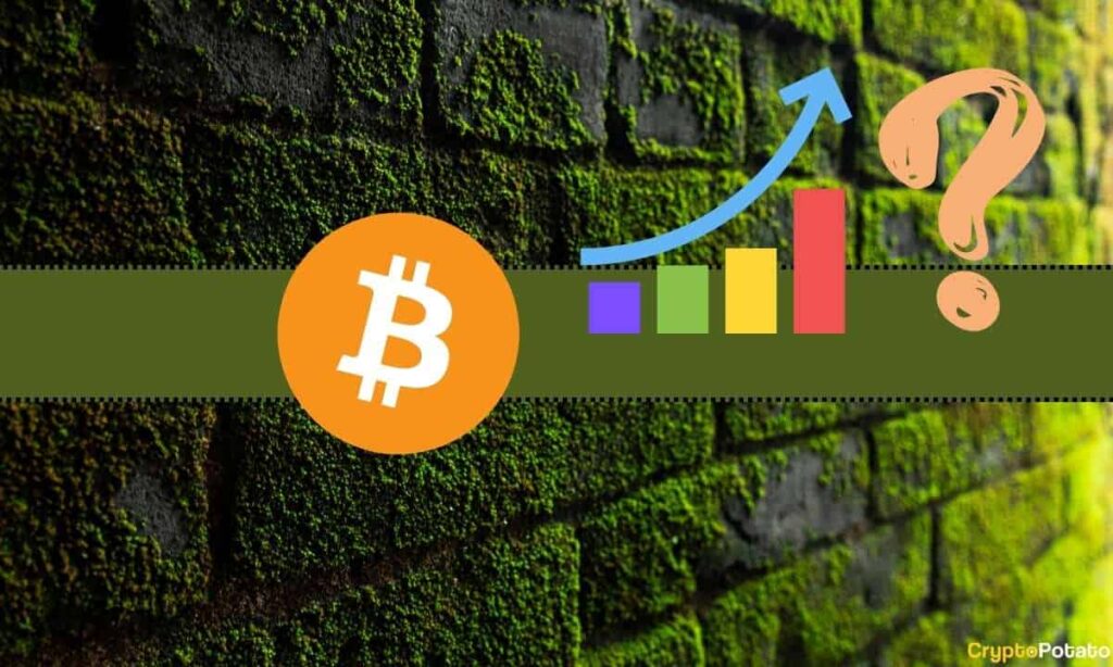 Could Bitcoin (Btc) End 2023 Above $40K?  In This Analyzer Chips