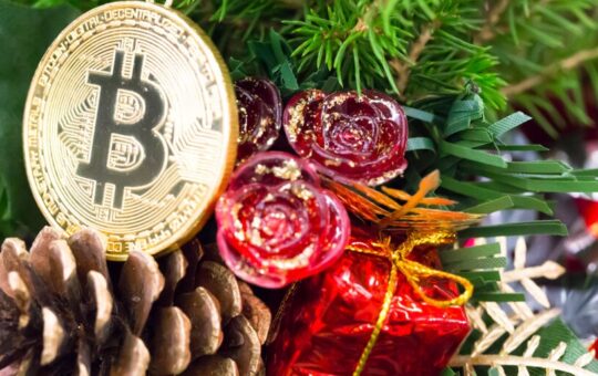 Crypto Holiday Gift Guide 2023