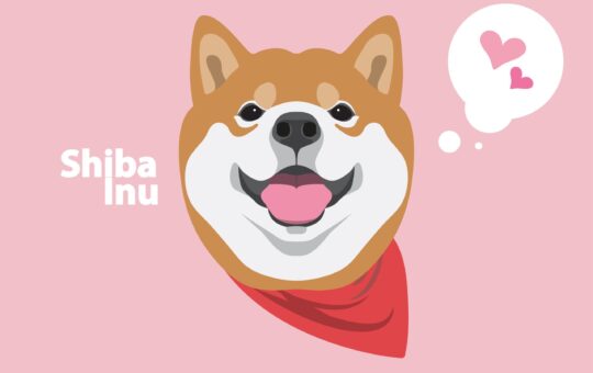 Did You Miss The Rise Of The Shiba Inu?  Rblz Targets Replicating Shib'S Success.