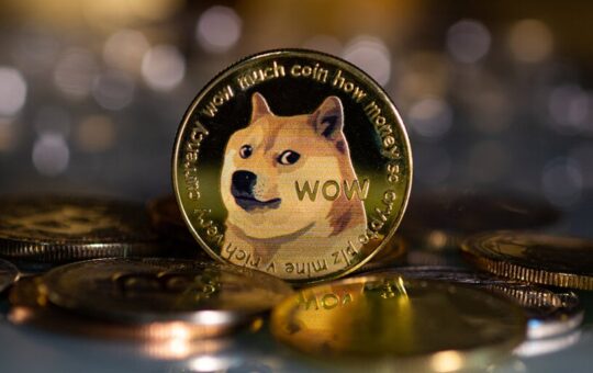 Dogecoin takes the case to the Supreme Court.