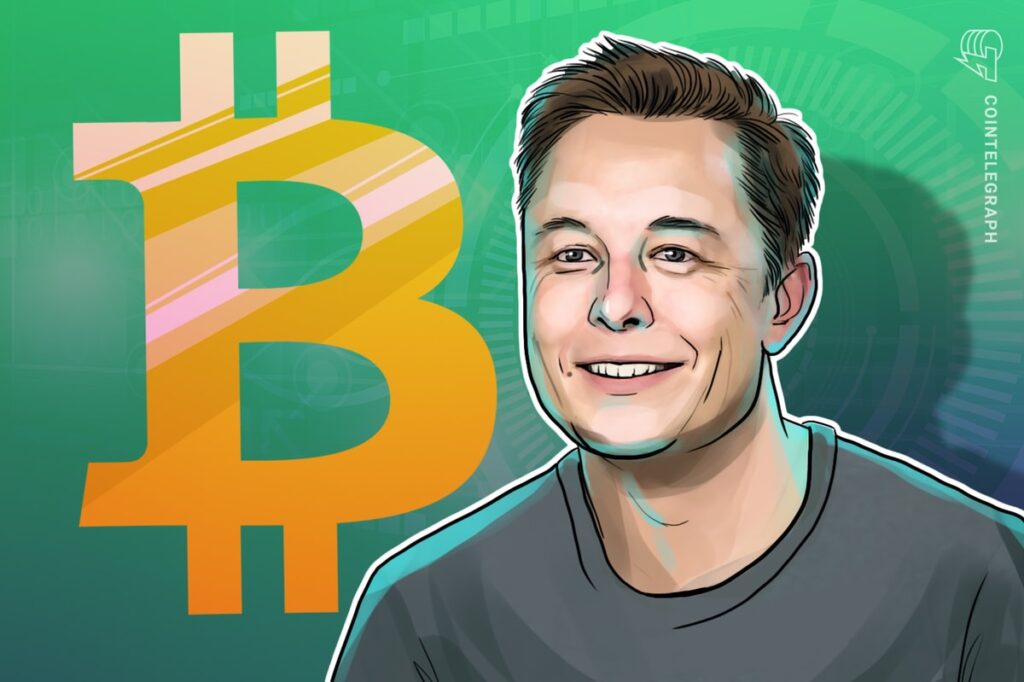 Elon Musk Limits Nfts But Ends Arguing Case For Bitcoin Ordinals