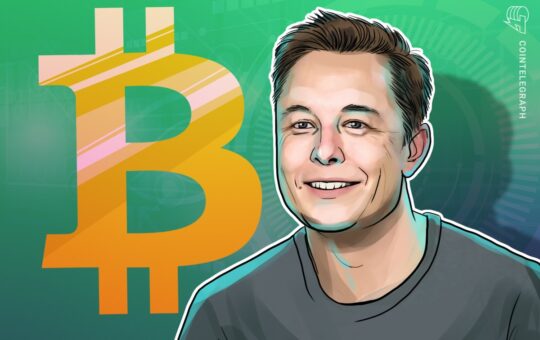 Elon Musk Limits Nfts But Ends Arguing Case For Bitcoin Ordinals