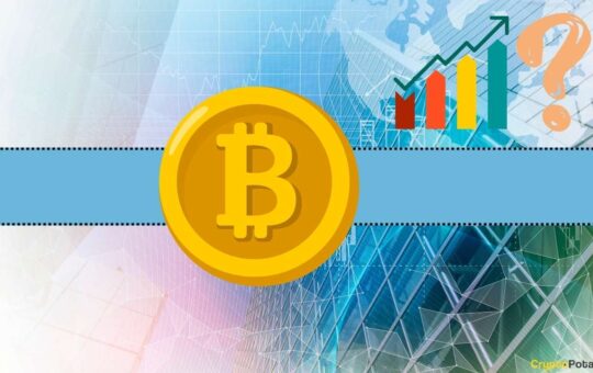 Interesting Bitcoin (Btc) Price Prediction With A Big Catch