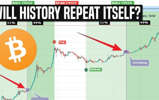 The Long Term Bitcoin Cycle Were Just Getting Started