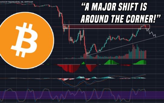 Altcoins Setup For Major Shift Heres What You Need