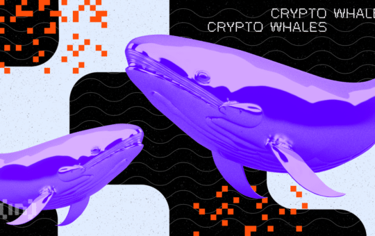 Whales Accumulation: On-Chain Platform Flags Withdrawals of These Four Tokens