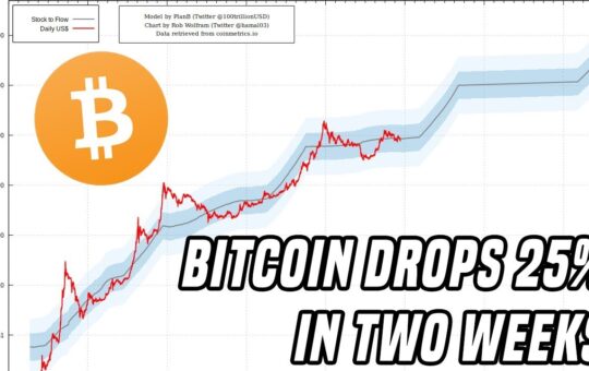 Bitcoin Drops 25 in Two Weeks Heres What You