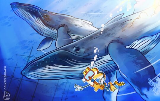 Bitcoin whales seek $42K redemption after BTC price plunges over 3%