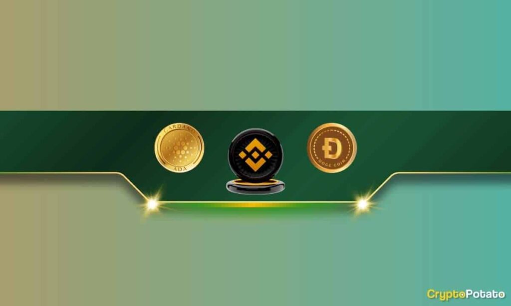 Important Announcement From Binance Regarding Cardano (Ada) And Dogecoin (Doge) Traders