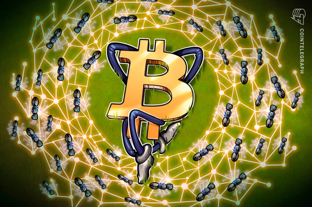 The Bitcoin Ecosystem Improved By Memecoins, New Protocols