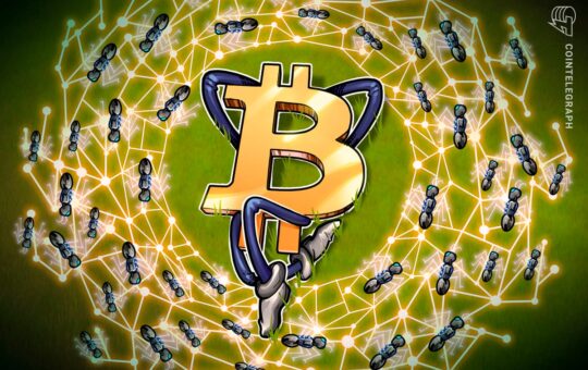 The Bitcoin Ecosystem Improved By Memecoins, New Protocols