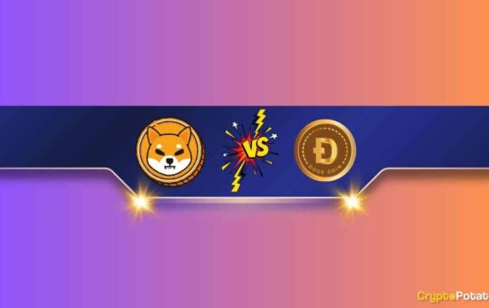 We Asked Chatgpt If Shiba Inu (Shib) Could Topple Dogecoin (Doge) In 2024.