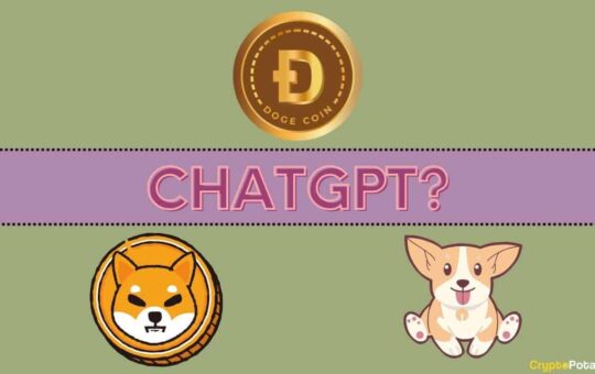 We Asked Chatgpt Which Is The Biggest Mm Coin In 2024?  Bonk, Shib, Doge Or Something Else?