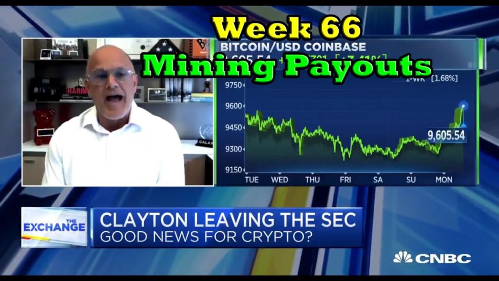 Week 66 Mining Payouts 62220