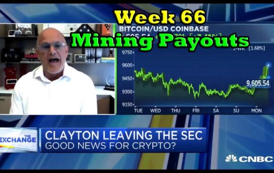 Week 66 Mining Payouts 62220