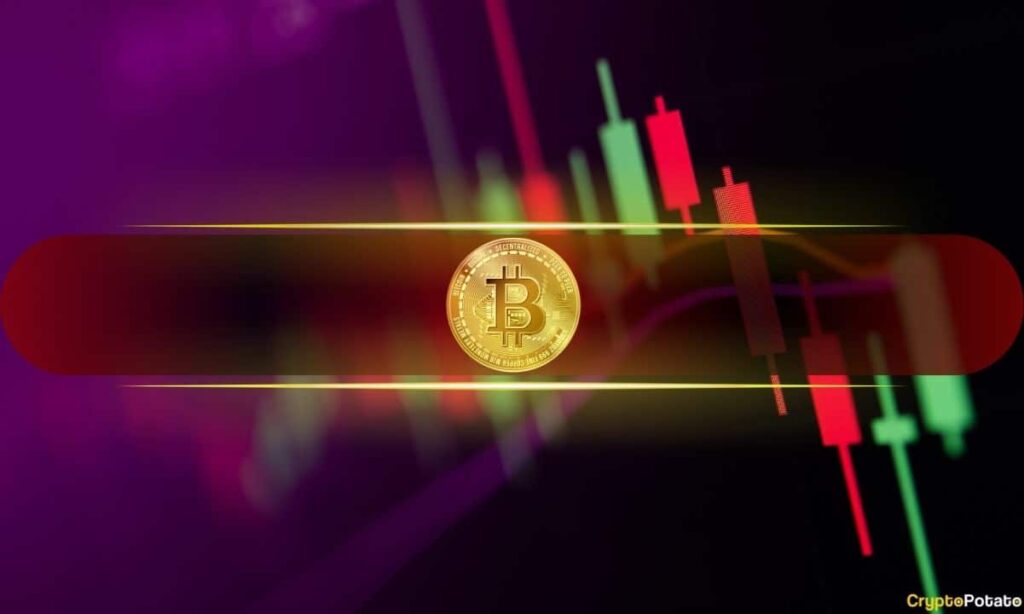 Bitcoin Shoots Up To $44K, Solana And Cardano Lead Altcoin Revival (Market View)