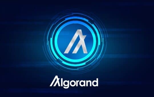 Hedera And Algorand Created A Partnership For Crypto Recovery