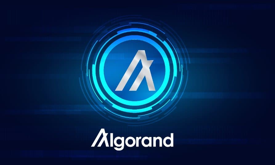 Hedera and Algorand created a partnership for crypto recovery