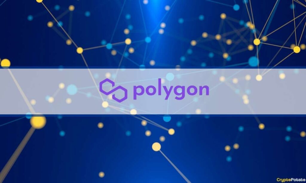 Polygon Labs' Legal Team Pushes For Occip Control