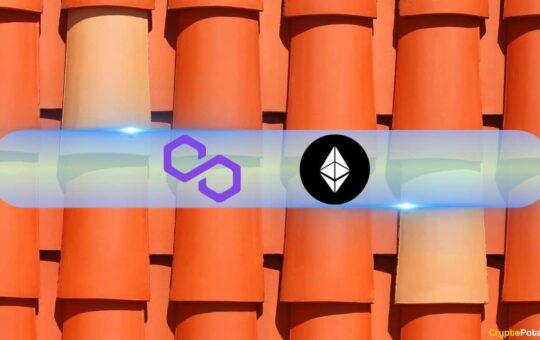 This Network Had As Many Users As Ethereum In 2023: Flipside Data