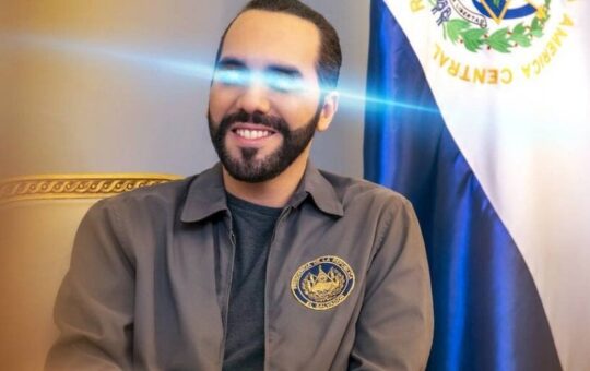 Bitcoin Champion Naib Bookel Clinch Re-Election In El Salvador