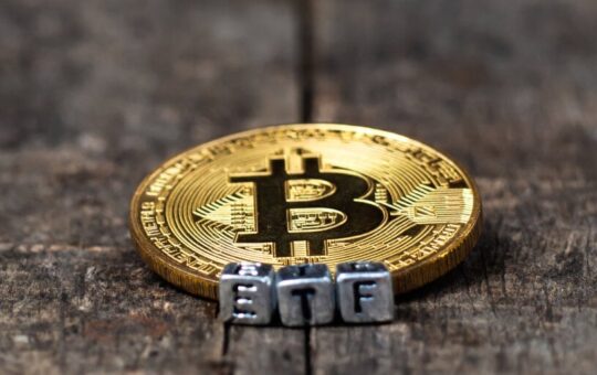 Bitcoin Etf Issuers May Decline By The End Of The Year, Says Valkyrie Cio