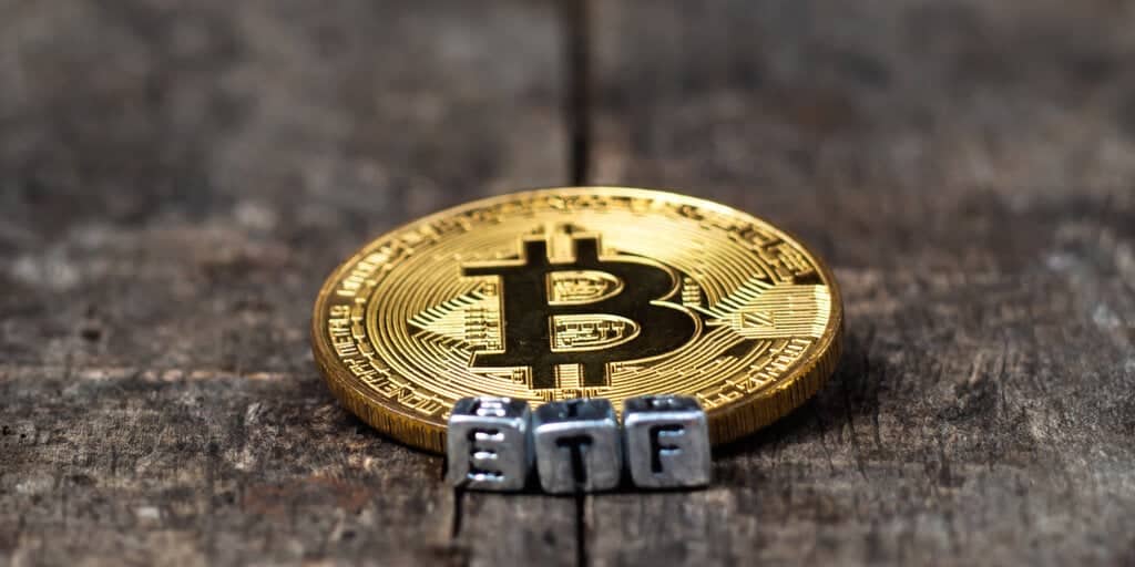 Bitcoin Etf Issuers May Decline By The End Of The Year, Says Valkyrie Cio