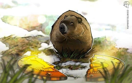 Bitcoin Half Day Betting with Groundhog Prediction: Pick your fighter