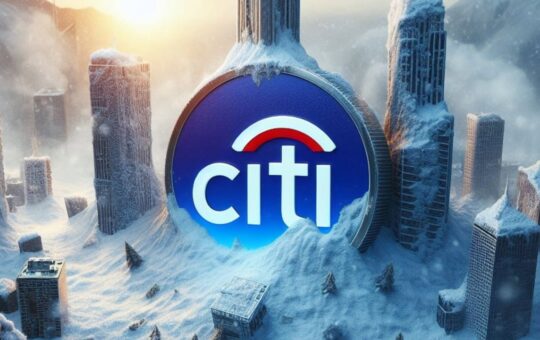 Citi Completed A Private Market Simulation Test Using Avalanche