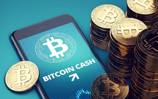 Dai Flips Bitcoin Cash;  Shib Next Traders New Memories?