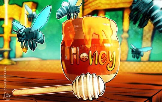 DeChat accidentally shared a 'honeypot' scam link in a token ad.